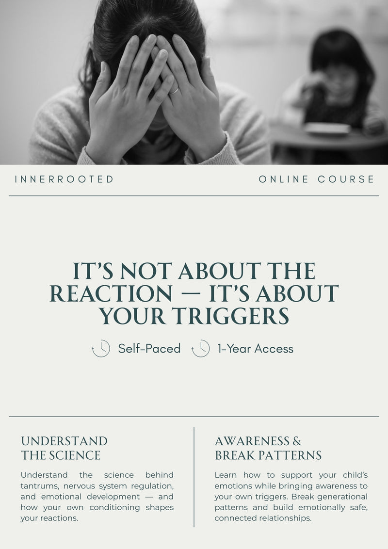 Online Course: It's Not About the Reaction - It's About Your Triggers